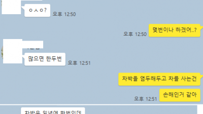 1년에 차박 몇번 하겠어?