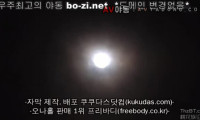 [동양야동] [자체자막] PGD 949 약혼녀가 동창회에서 전남친을 만났다