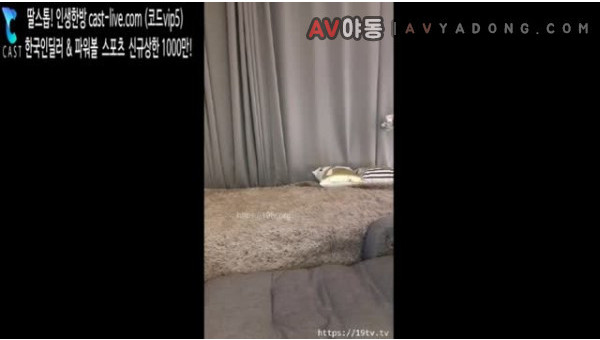 BJ빈이